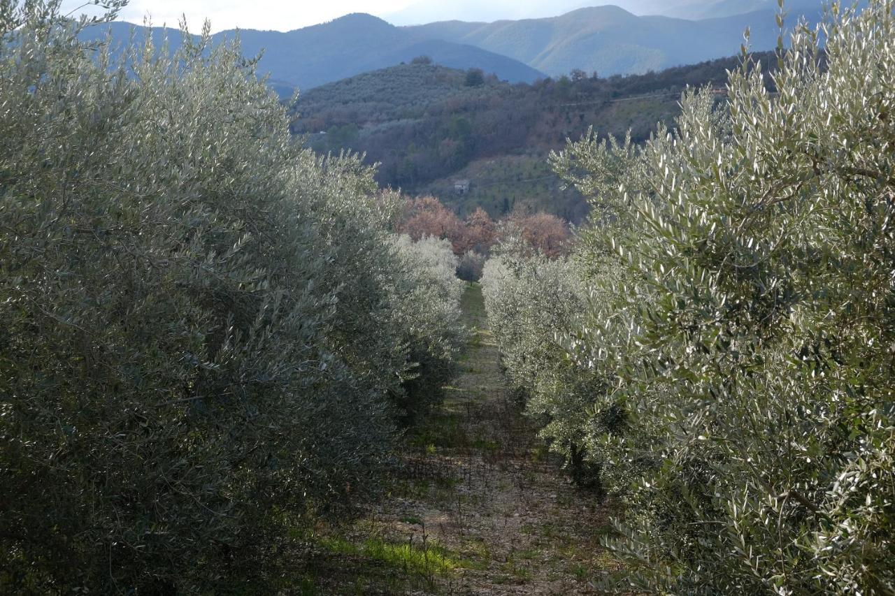Agriturismo Il Casaletto Montefranco Exterior photo